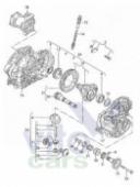 Skoda Octavia 2 (A4) МКПП (механическая коробка переключения передач) Комплект конических сателлитов 1,4-1,6 бензин DLP DRZ DSB  DUU DUS DUW DNZ DUV б/у запчастина в наявності (розбирання)